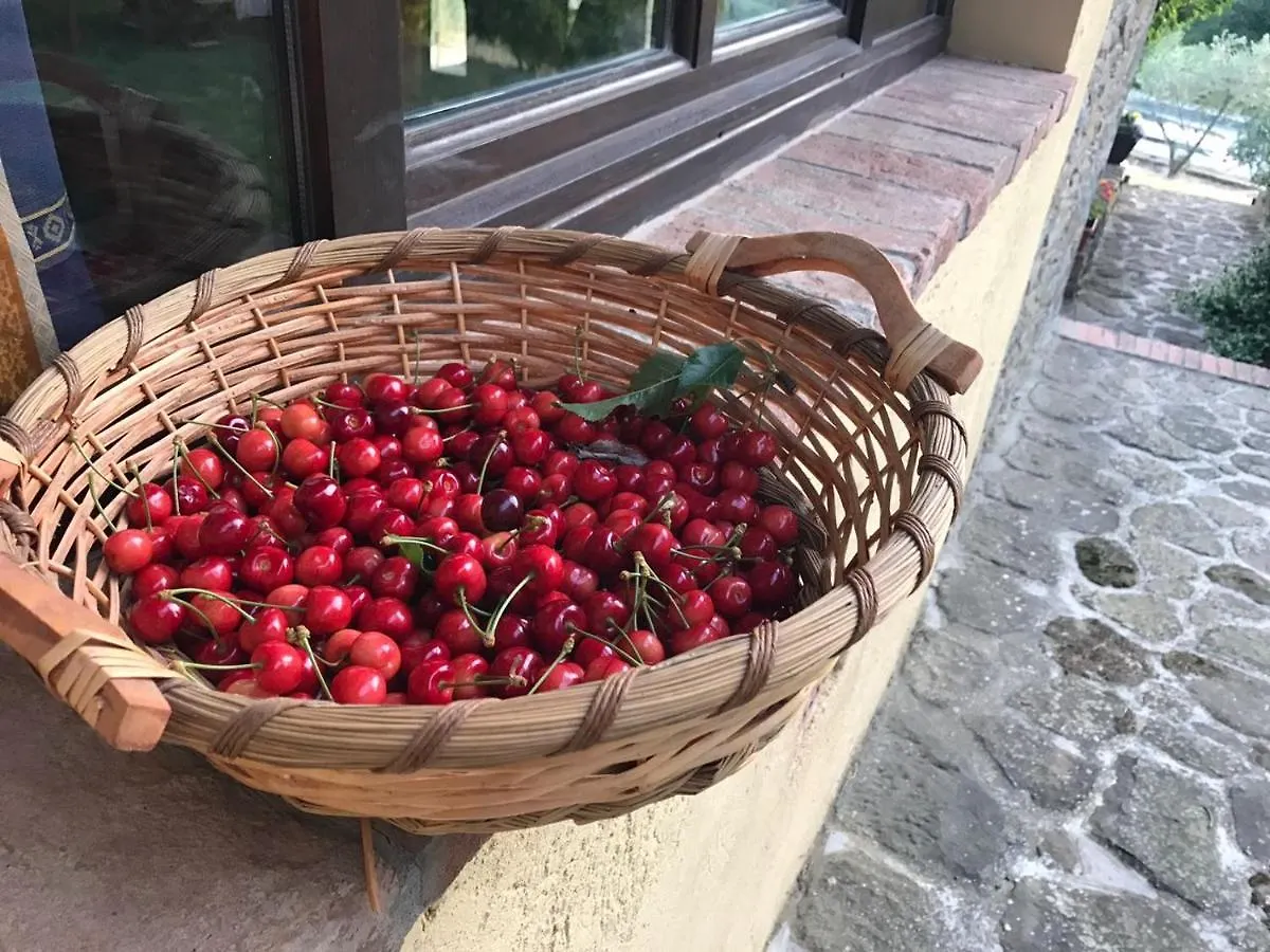 Country house Podere Le Muricce Cavriglia
