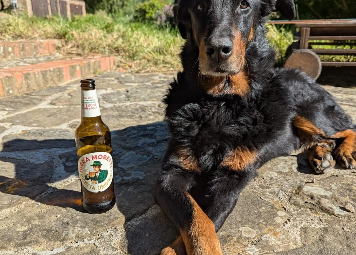 Podere Le Muricce Cavriglia 0*,  Italy