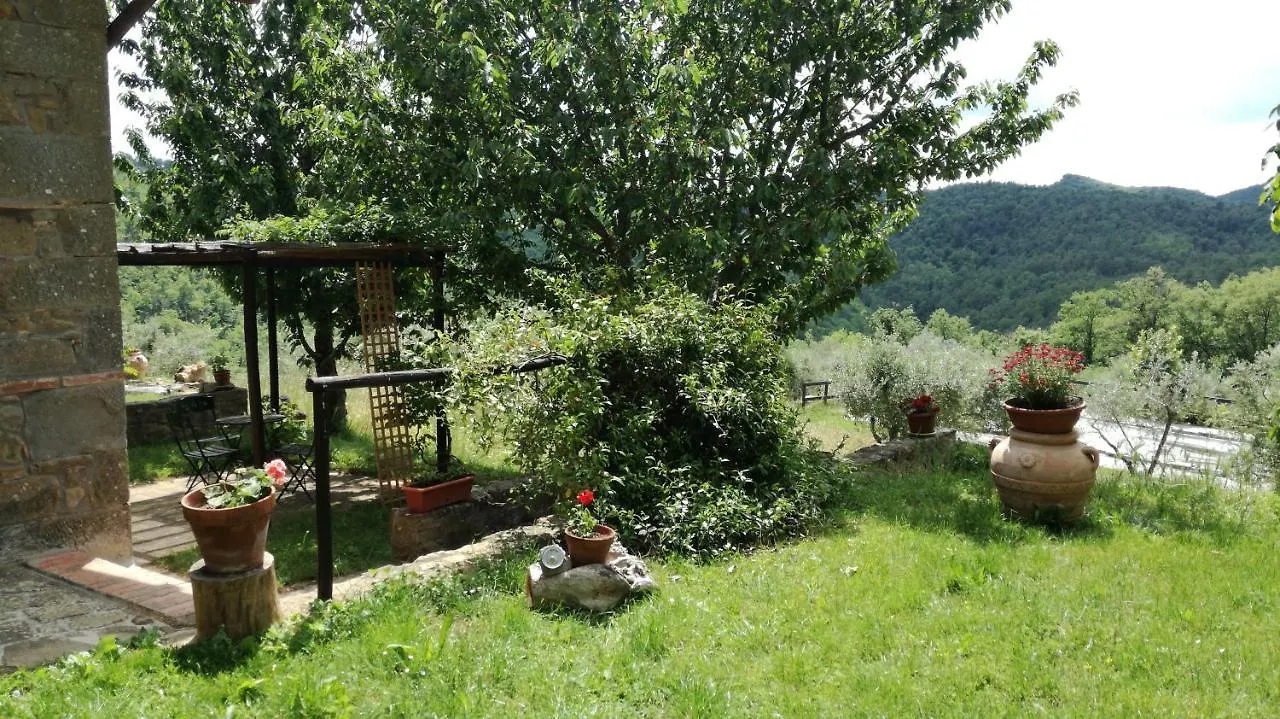 Podere Le Muricce Cavriglia 0*,