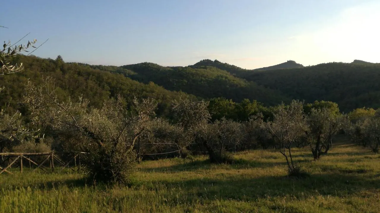 Podere Le Muricce Cavriglia Country house