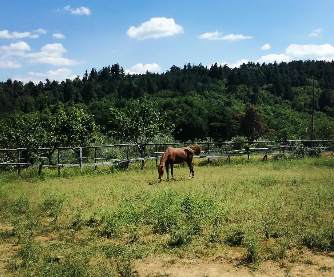 Country house Podere Le Muricce Cavriglia