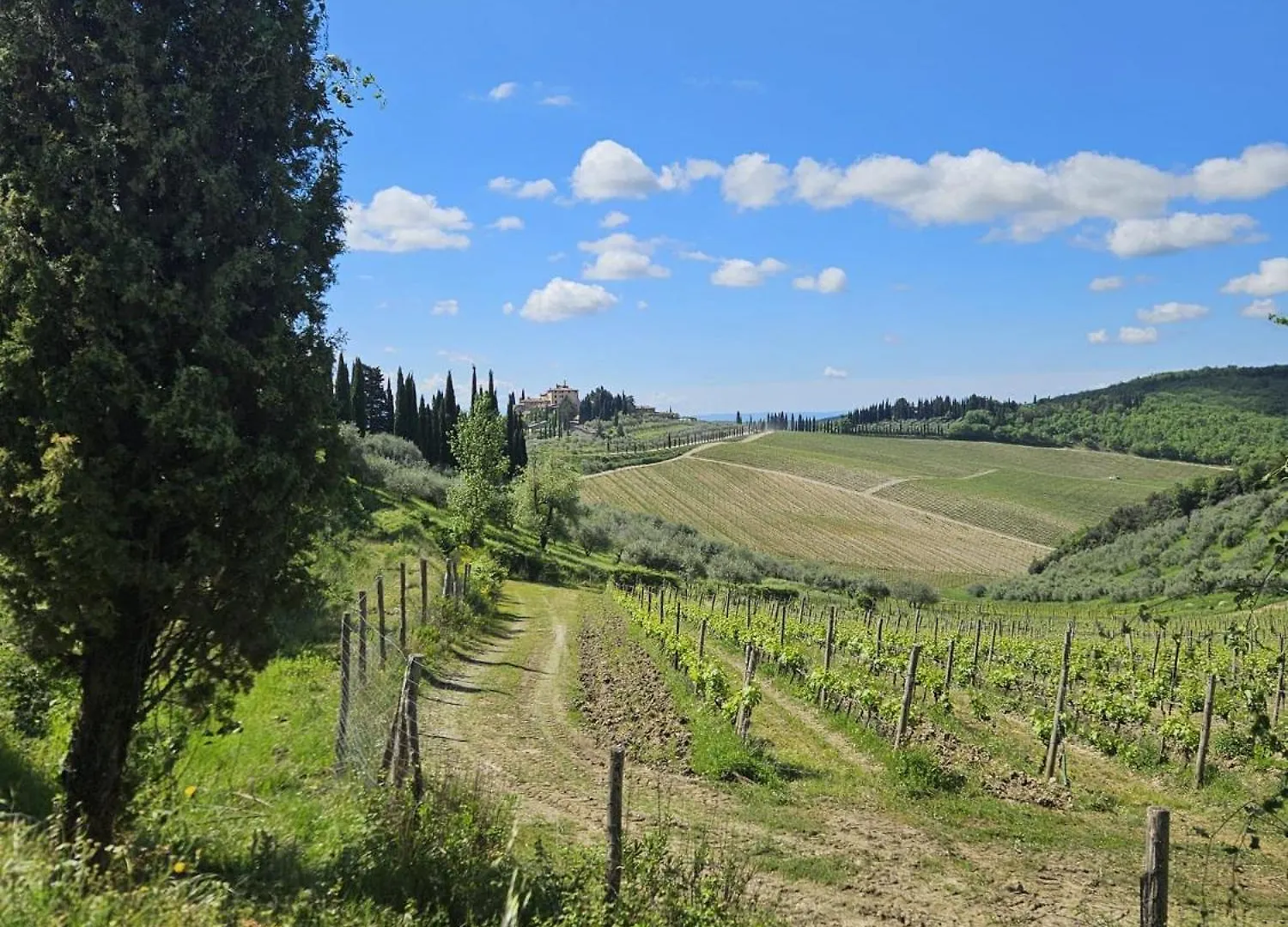 Country house Podere Le Muricce Cavriglia